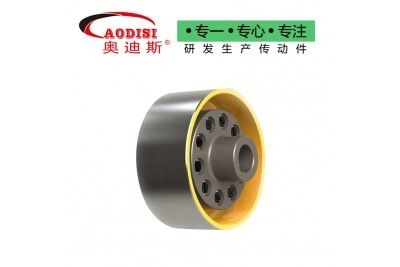 AODISI TLL型帶制動輪彈性套柱銷聯(lián)軸器